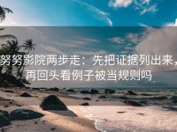 努努影院两步走：先把证据列出来，再回头看例子被当规则吗