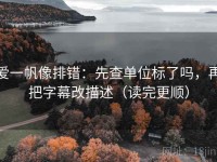 爱一帆像排错：先查单位标了吗，再把字幕改描述（读完更顺）